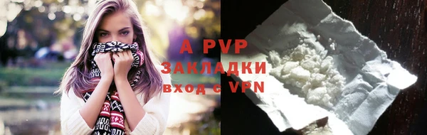 шишки Богданович