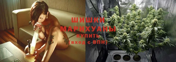 шишки Богданович