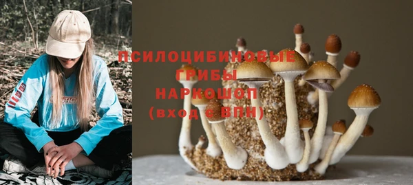 ГАЛЛЮЦИНОГЕННЫЕ ГРИБЫ Богородицк